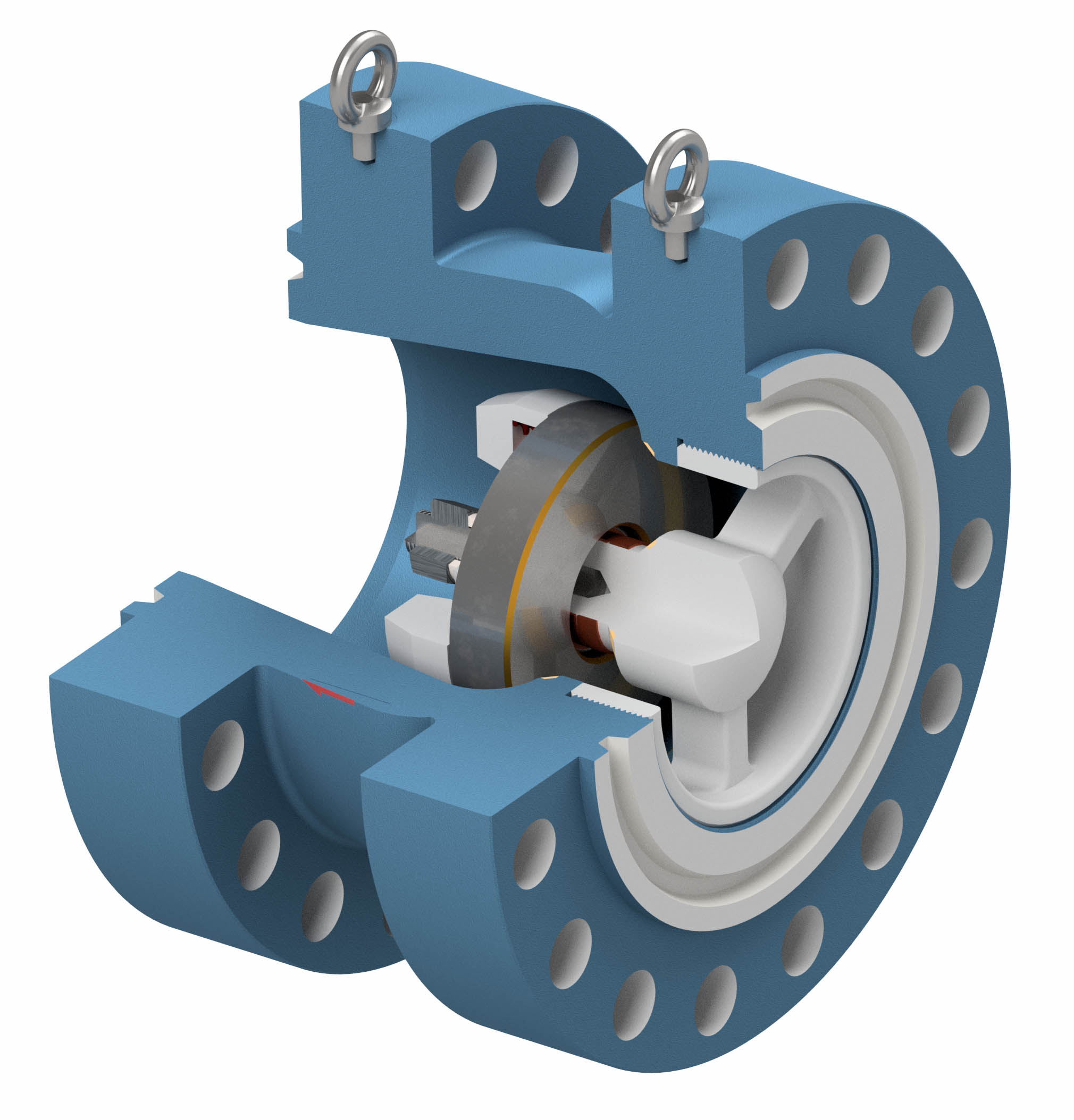 Dual seal ring disc ACV